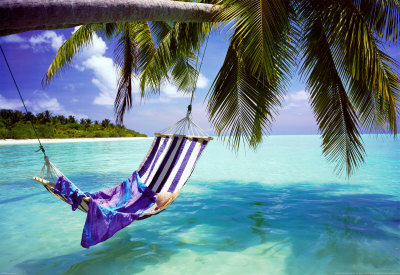 Tropical Beach