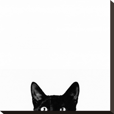 Curiosity