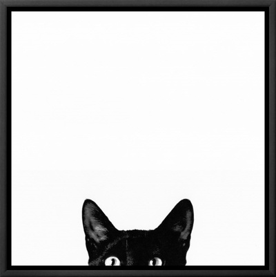 Curiosity