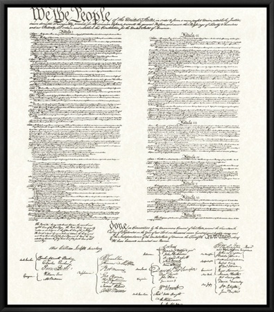 Constitution