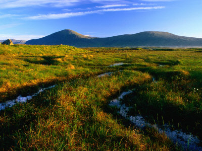 Peat Bogs, Rannoch Moor, Scotland