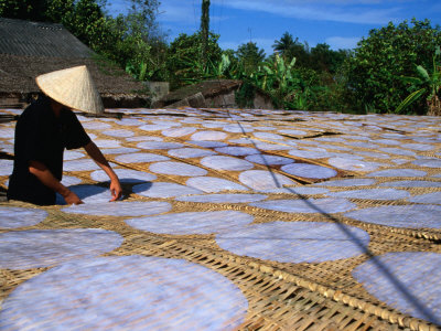 Drying Rice Paper Before Cutting into Noodles, Vietnam