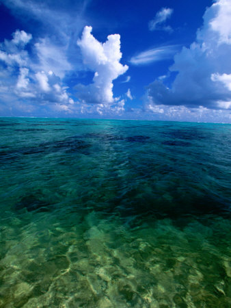 Lagoon Waters in Haapiti, Moorea, the French Polynesia Poster