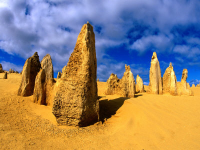 Pinnacles in Early Morning Light, Nambung National Park, Australia