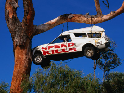 Buy Car Hanging on Tree, Safety Message on Old Coast Road in South-West, Australia at AllPosters.com
