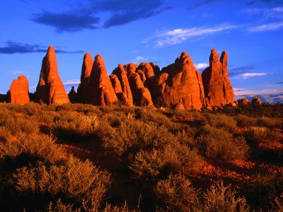 Eroded Sandstone Pinnacles and Fins, Arches National Park, Utah, USA