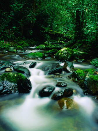 Liwagu River at Kinabalu National Park, Sabah, Malaysia