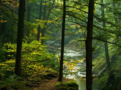 Texas Falls, Vermont, USA
