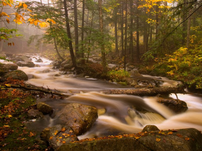 Flowing Streams Along the Appalachian Trail, East Arlington, Vermont, USA