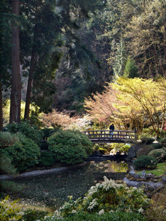 Japanese Gardens in Washington Park, Portland, Oregon, USA