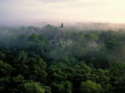 Buy Tikal, Maya, Guatemala at AllPosters.com