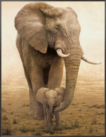 Momma