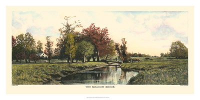 The Meadow Brook