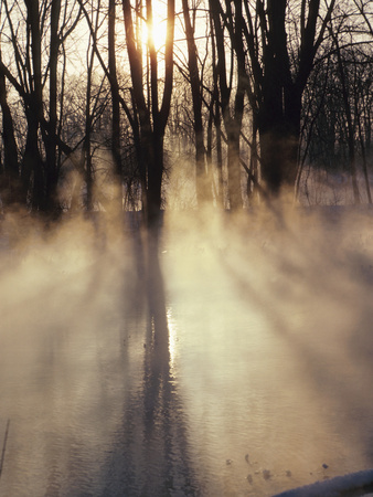 Beautiful Sunlight Streaming Through Mist and Forest