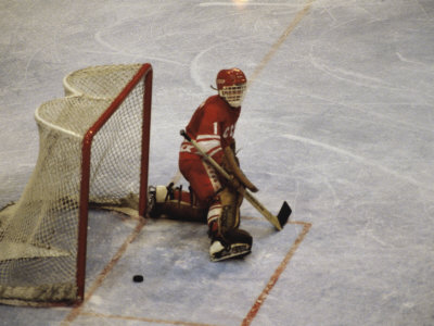 Hockey Goalie Poster