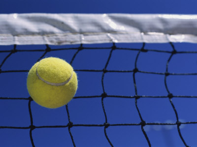Buy Tennis Ball Hitting Net at AllPosters.com