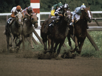 Buy Horse Race in Progress at AllPosters.com
