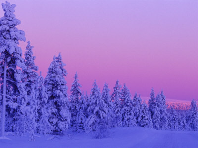Sunset in the Lappish Winter, Finland