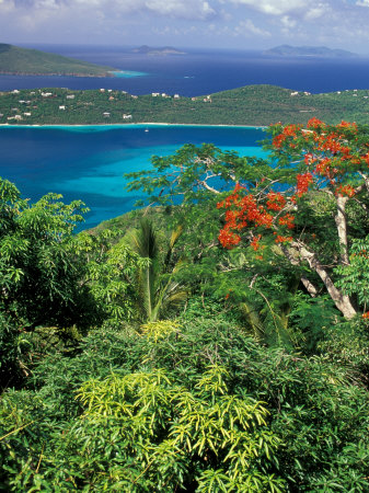 Magens Bay, St. Thomas, Caribbean
