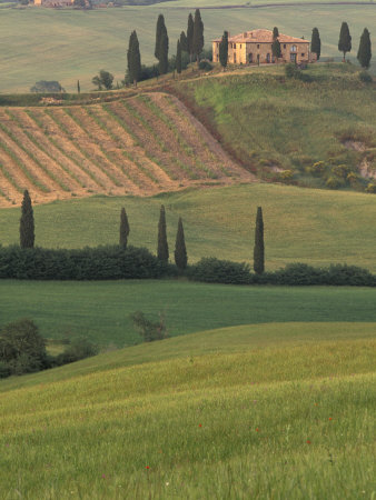 Tuscan Villa and Farmhouse, San Quirico D