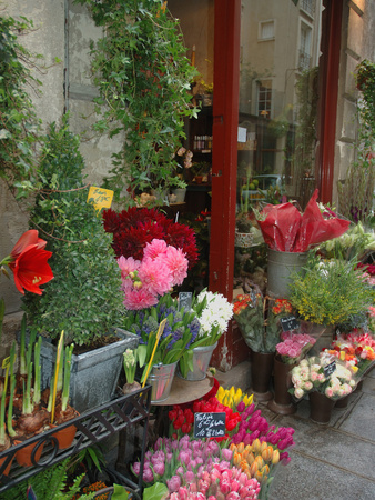 Florist in Ile St. Louis, Paris, France