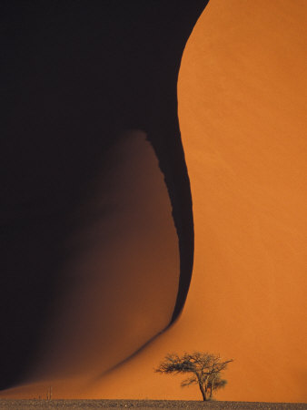 Buy Dusk Falls on Soussevlei Sand Dunes, Namibia at AllPosters.com