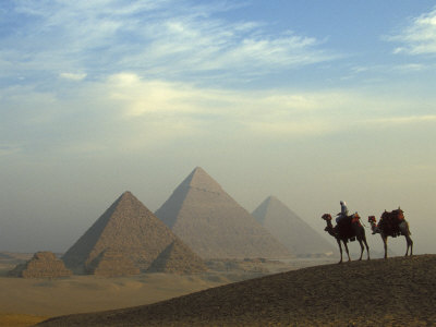 Camels and Driver at the Pyramids Complex, Egypt