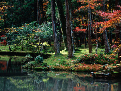 Saiho-Ji Garden in Autumn, Kyoto, Japan