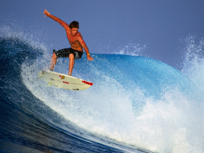 Surfer on a Wave Known as Hollow Trees, Indonesia Poster