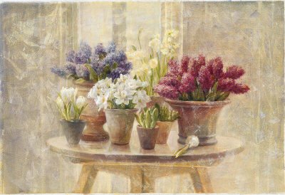 Spring Bulb Still Life