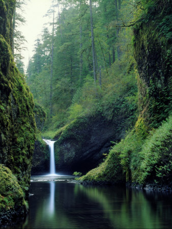Punch Bowl Falls, Eagle Creek, Columbia River Gorge Scenic Area, Oregon, USA