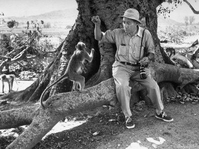 Alfred Eisenstaedt on Assignment Photographing Indian Monkeys