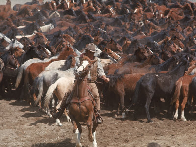 Actor John Wayne During Filming of Western Movie "The Undefeated"