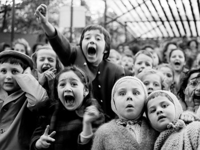 Wide Range of Facial Expressions on Children at Puppet Show the Moment the Dragon is Slain
