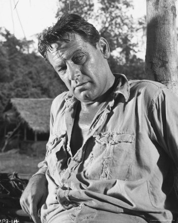 William Holden Buy at AllPosterscom