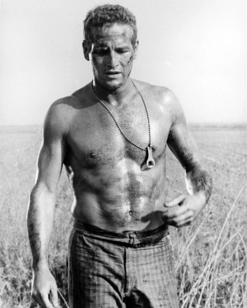 Paul Newman