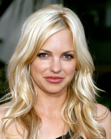 Anna Faris will be seen starring opposite Seth Rogen in Observe and Report
