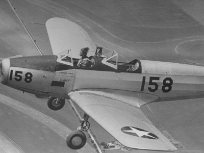 Fledgling Pilot of the Women