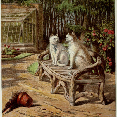 Kronheim's White Cats Sitting in a Bench Near a Greenhouse, from 