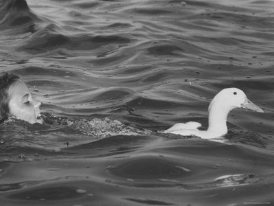 Shelley SilkDaughter of Photographer George Silk, Swimming Behind Pet Duck in Long Island Sound