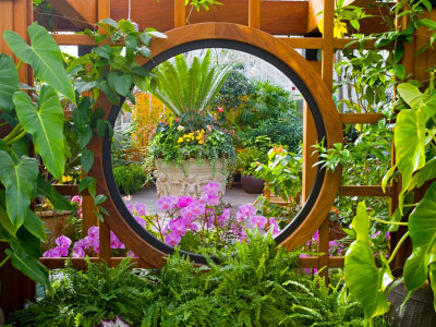 Inside the San Francisco Conservatory of Flowers, San Francisco, California, USA