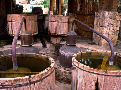 Mezcal Distillery in Santiago Matatlan, Los Danzantes, Matatlan, Oaxaca, Mexico