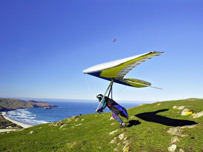 Hang Glider, Otago Peninsula, South Island, New Zealand Poster