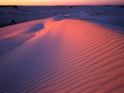 Sand Dunes, Nambung National Park, Western Australia, Australia