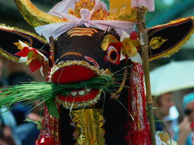Sacred Decorated Cremation Cow, Bali, Indonesia