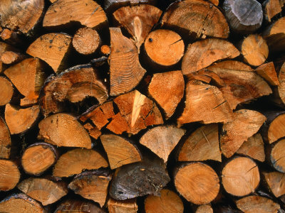 Chopped Wood for Winter, Zermatt, Switzerland