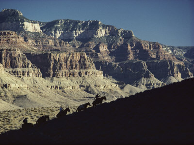 Buy Mules Carry Visitors to the Grand Canyon at AllPosters.com