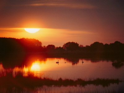 Buy Sunset over Black Duck Pond at AllPosters.com