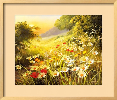 Evening Sun