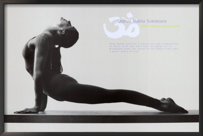 Upward Dog